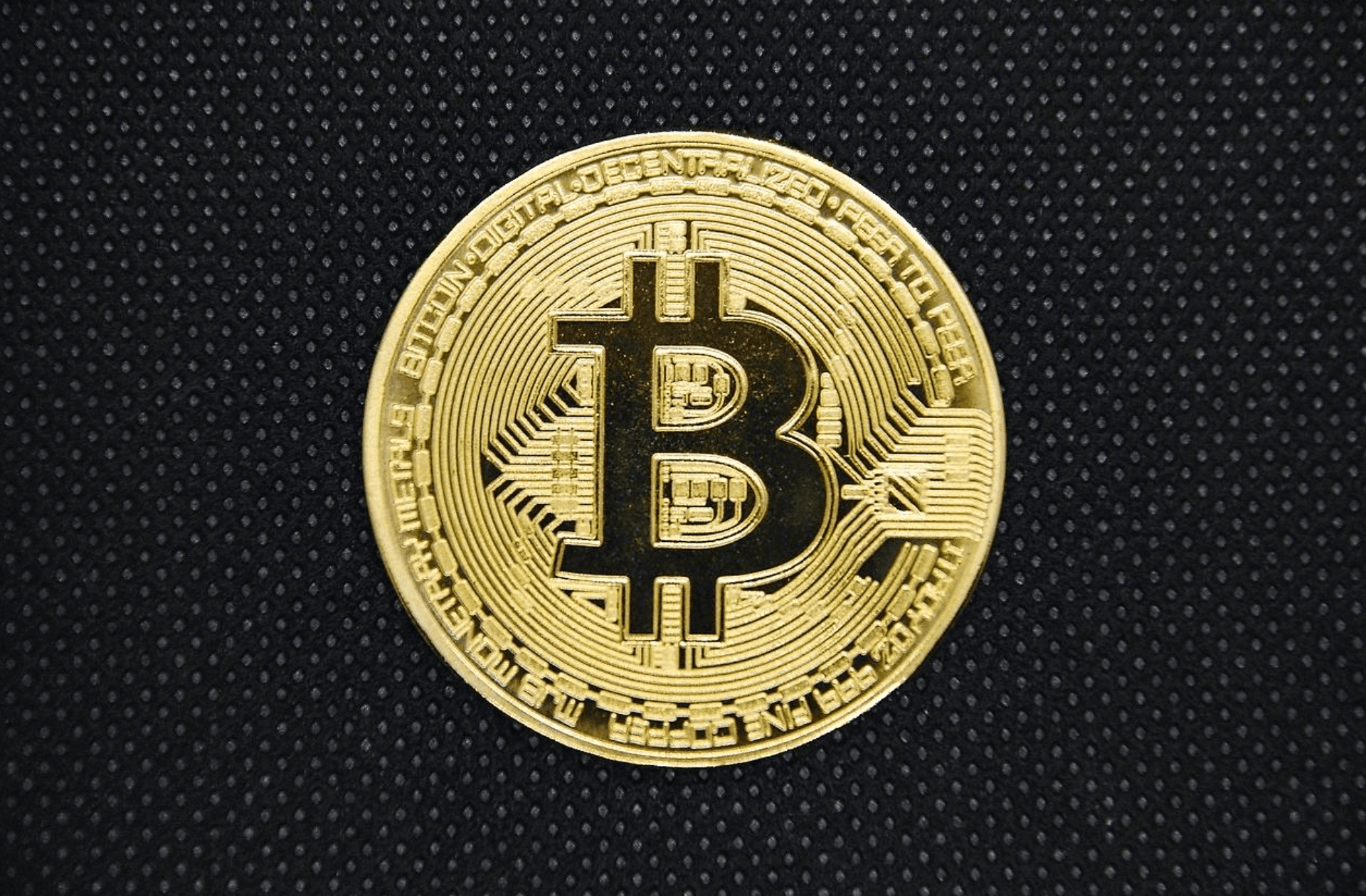 Bitcoin ETFs Bleed for Seven Weeks as XRP Defies the Rout