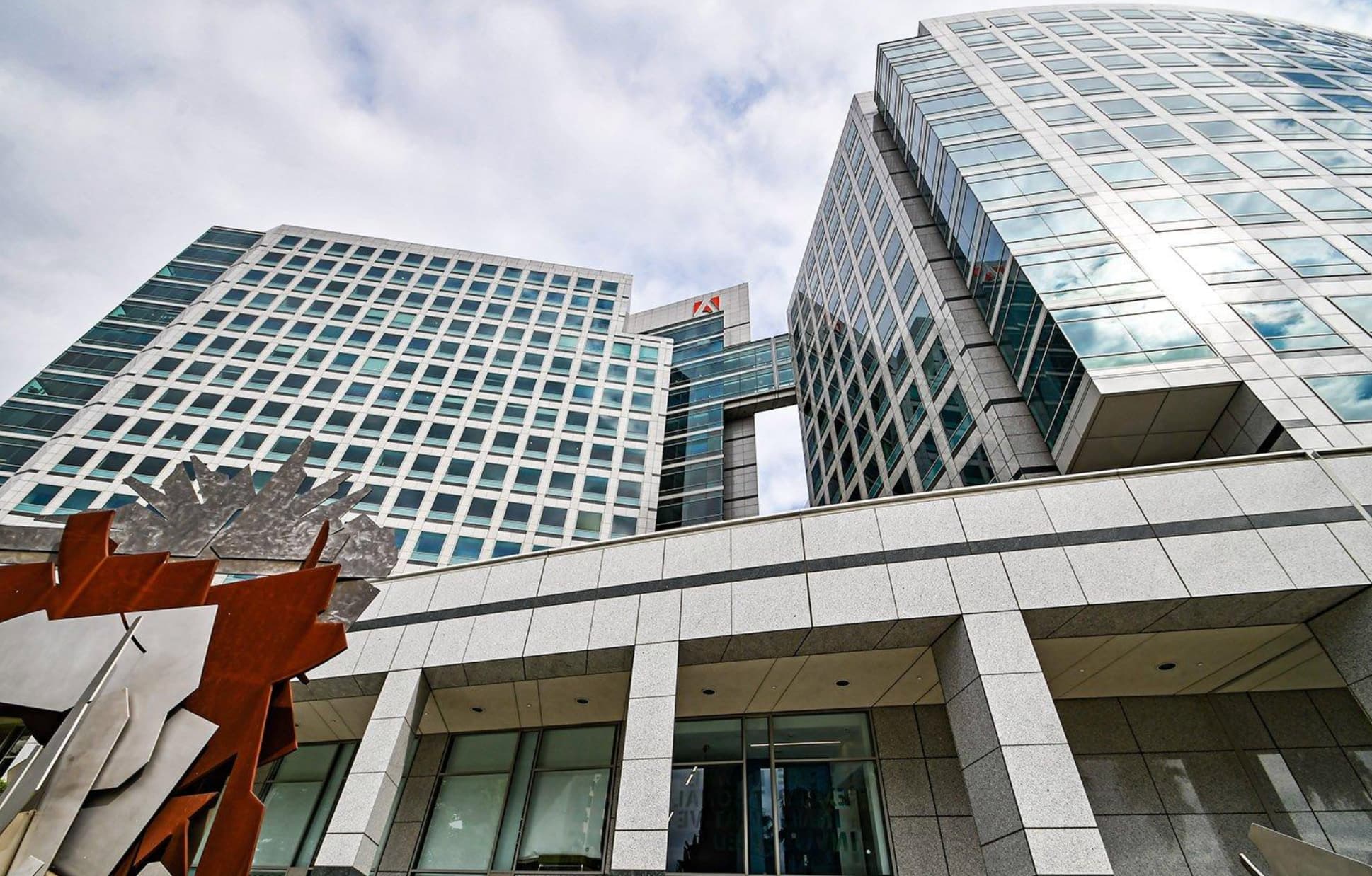 Adobe Slashed to Underperform: BofA's Brutal Two-Notch Cut