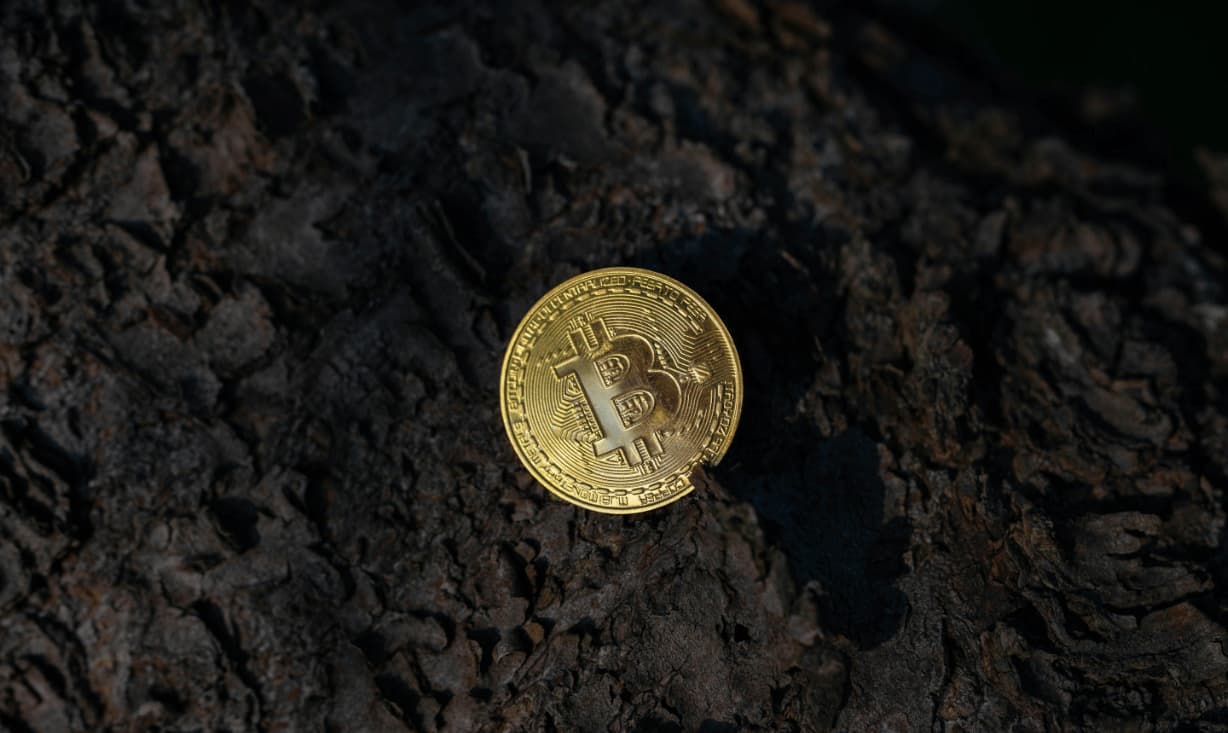 Bitcoin ETFs Pull In $2.4B in April, Best Month Since October